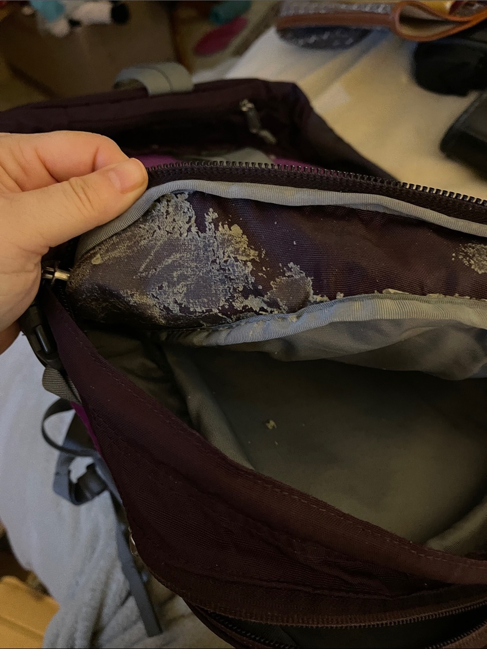 The North Face Surge Backpack in Purple and Gray 3 Pockets by North Face - Picture 8 of 9
